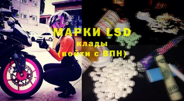 ECSTASY Алзамай
