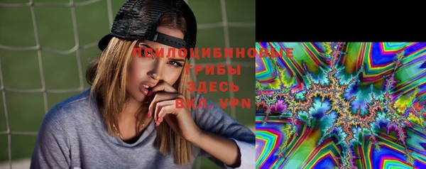 ECSTASY Алзамай