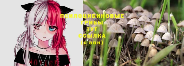 ECSTASY Алзамай
